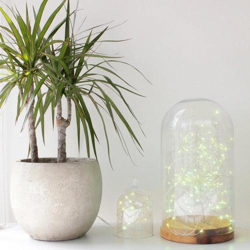 Silver copper fairy LED lights with 20 bulbs, battery-operated decorative string lights by Perfect Holiday.
