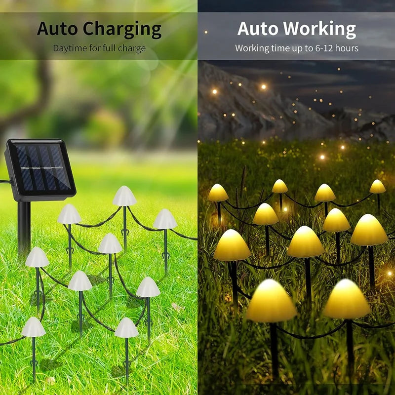 Lumenwood Glowcap solar mushroom pathway lights in garden, featuring white caps and slender stakes for outdoor holiday lighting.